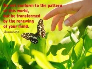 Butterfly transformation