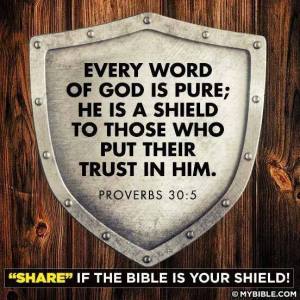 Shield (2014_03_10 01_21_18 UTC)