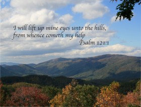 Gods-Creation-Photography-Cards12