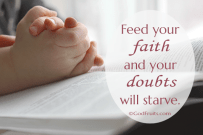 Feed Your Faith