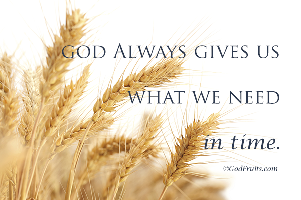 God Gives