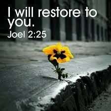 I will restore