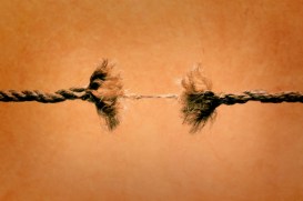 divided-kingdom_rope